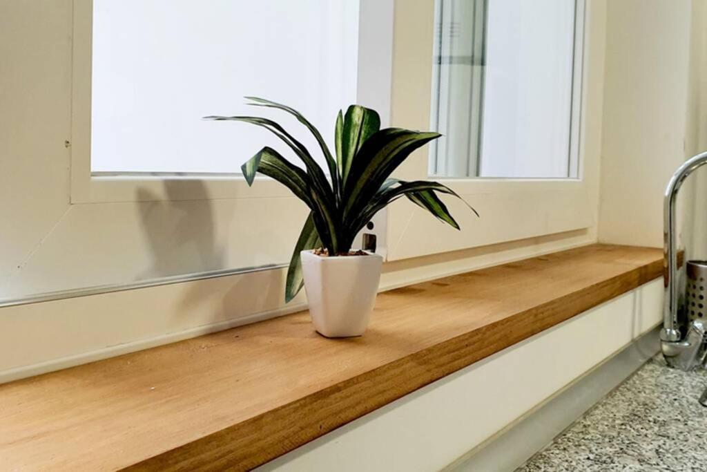 Apartamento Interior En Absoluto Centro En Algeciras 1º A Bagian luar foto